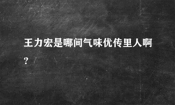 王力宏是哪间气味优传里人啊？