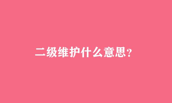 二级维护什么意思？