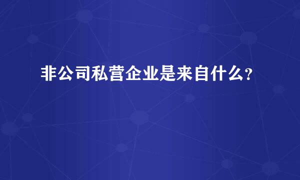 非公司私营企业是来自什么？