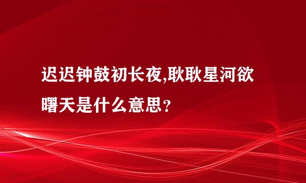 迟迟钟鼓初长夜,耿耿星河欲曙天是什么意思？