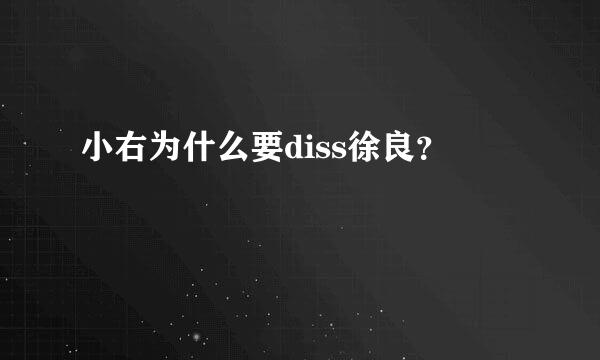 小右为什么要diss徐良？