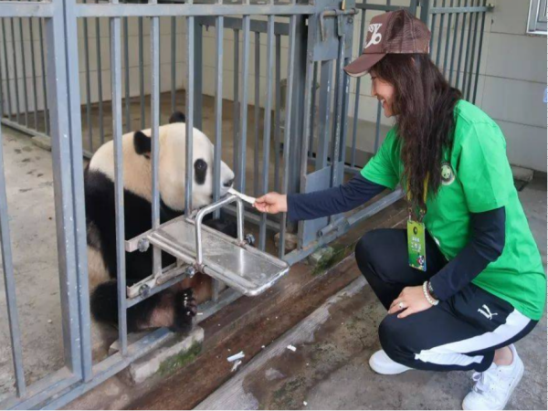 熊猫饲养员需要什么样的条件呢？