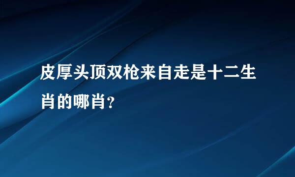 皮厚头顶双枪来自走是十二生肖的哪肖？