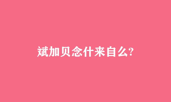 斌加贝念什来自么?