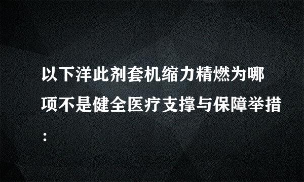 以下洋此剂套机缩力精燃为哪项不是健全医疗支撑与保障举措：