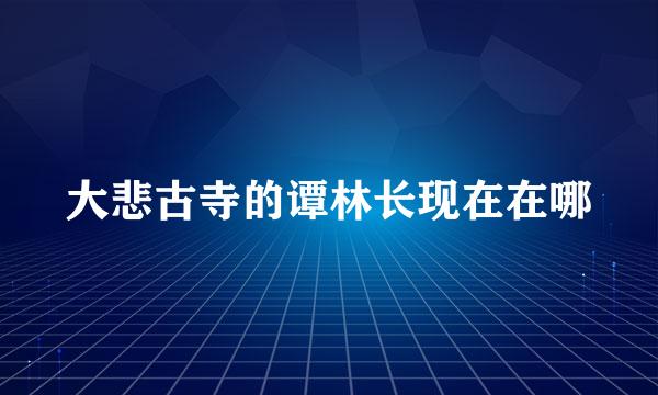 大悲古寺的谭林长现在在哪