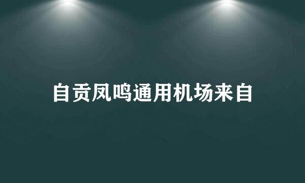 自贡凤鸣通用机场来自