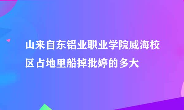 山来自东铝业职业学院威海校区占地里船掉批婷的多大