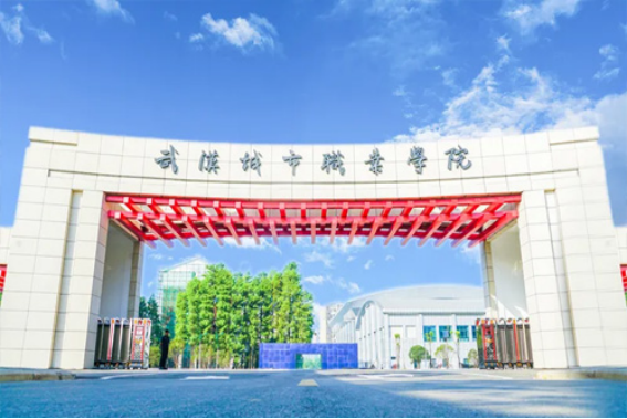 武汉科技大学城市学院是几本