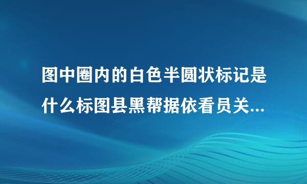 图中圈内的白色半圆状标记是什么标图县黑帮据依看员关星开线？ A. 减速行驶线B. 车速确认线C. 路口减速线D. 车距确认线请帮忙给出正确答案...