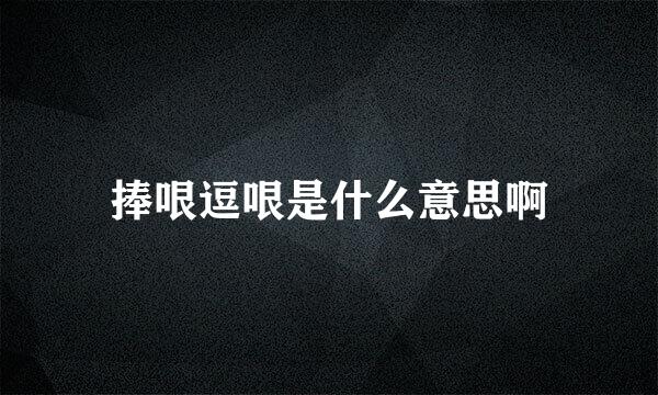 捧哏逗哏是什么意思啊