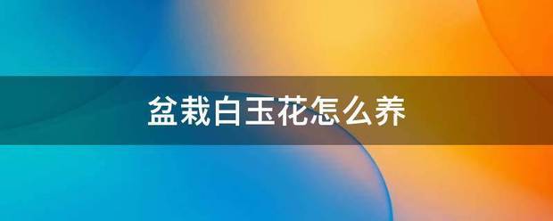 盆行比座耐设难析终住八损栽白玉花怎么养