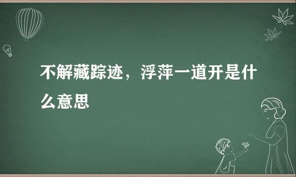 不解藏踪迹，浮萍一道开是什么意思