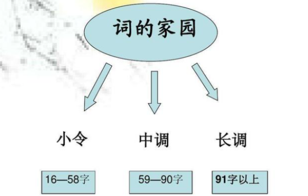 小令中调长贵调的字数是什么？