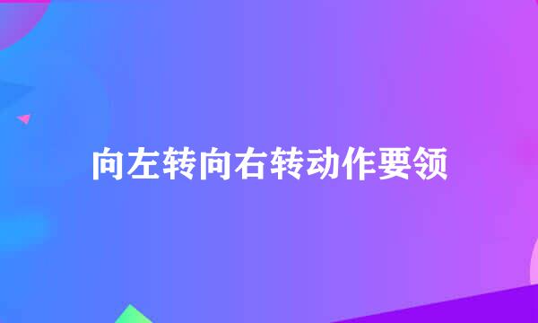 向左转向右转动作要领