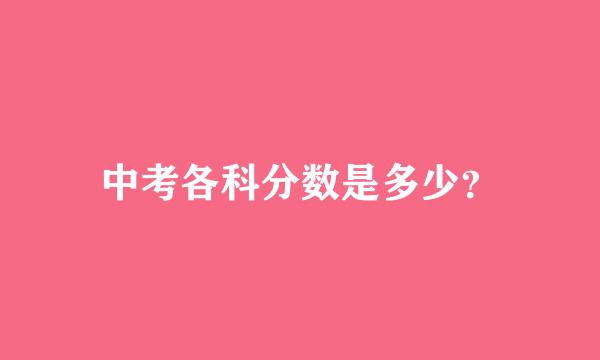 中考各科分数是多少？