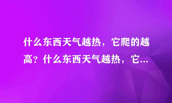 什么东西天气越热，它爬的越高？什么东西天气越热，它爬的越高？