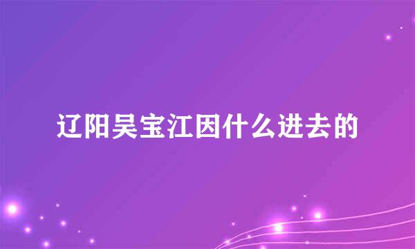 辽阳吴宝江因什么进去的