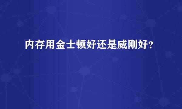 内存用金士顿好还是威刚好？