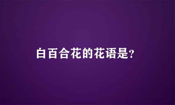 白百合花的花语是？