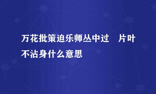 万花批策迫乐师丛中过 片叶不沾身什么意思