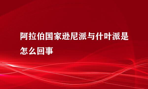 阿拉伯国家逊尼派与什叶派是怎么回事