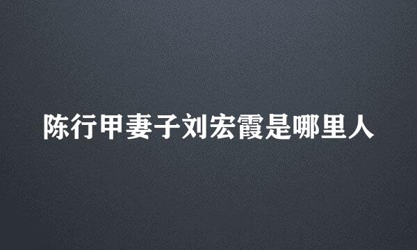 陈行甲妻子刘宏霞是哪里人