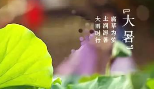 大暑三来自候是什么