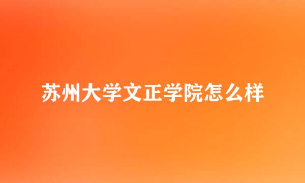 苏州大学文正学院怎么样