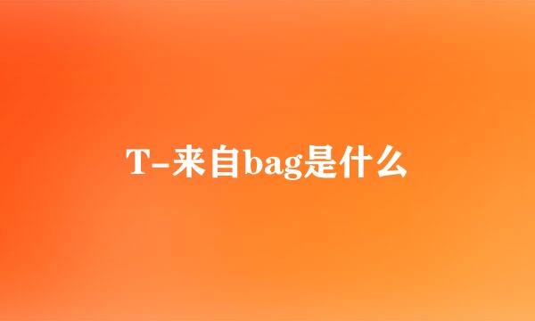 T-来自bag是什么