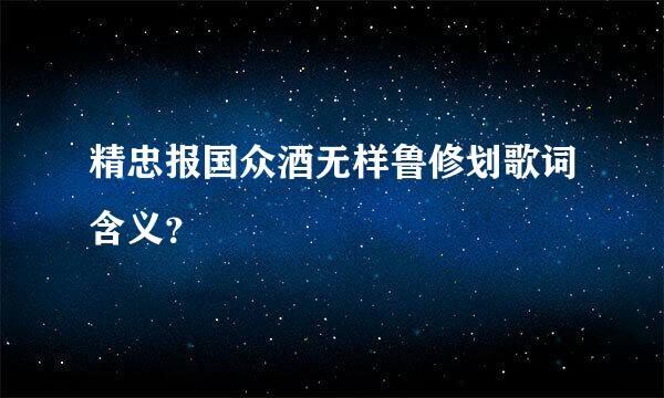 精忠报国众酒无样鲁修划歌词含义？