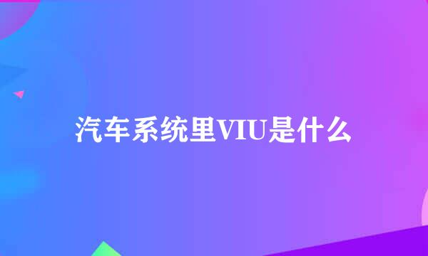 汽车系统里VIU是什么