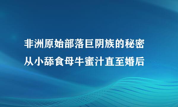 非洲原始部落巨阴族的秘密 从小舔食母牛蜜汁直至婚后