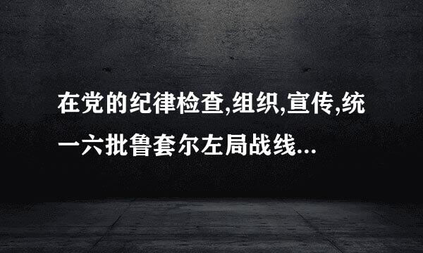 在党的纪律检查,组织,宣传,统一六批鲁套尔左局战线工作以及机关工作等其他工作中，不履行或者不正确履行职责