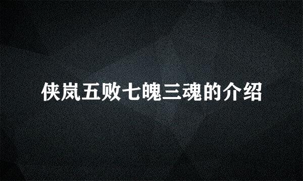 侠岚五败七魄三魂的介绍