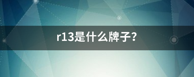 r13是什么牌子？