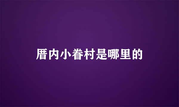 厝内小眷村是哪里的