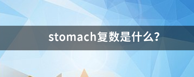 stomach复数是什么？