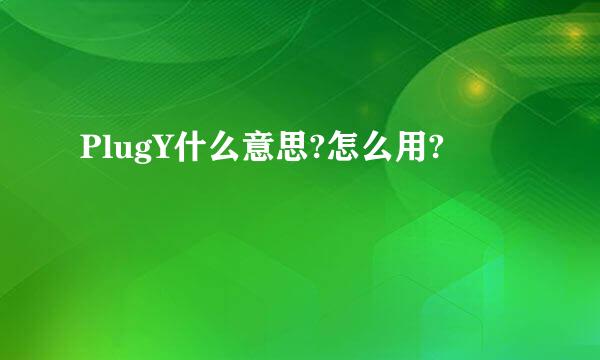 PlugY什么意思?怎么用?