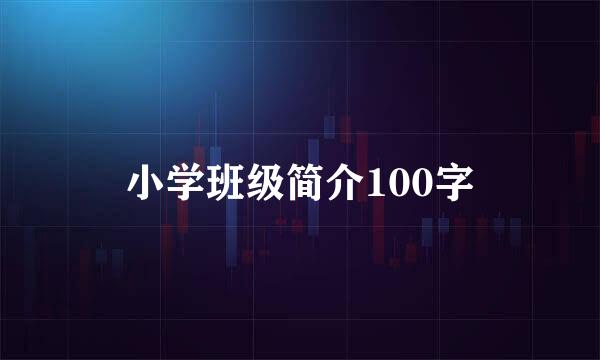 小学班级简介100字