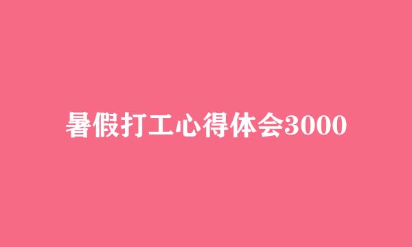 暑假打工心得体会3000