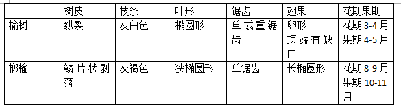 榔榆树与榆树的区别是什么？