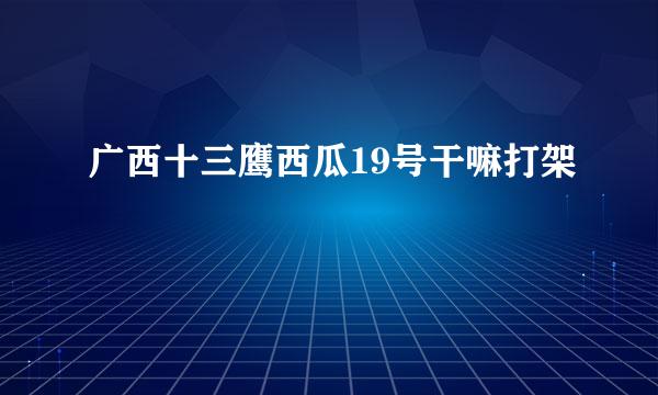 广西十三鹰西瓜19号干嘛打架