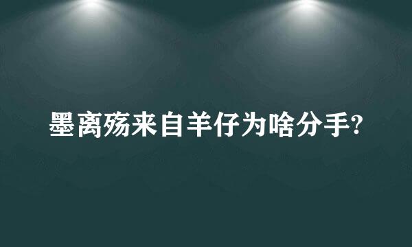 墨离殇来自羊仔为啥分手?