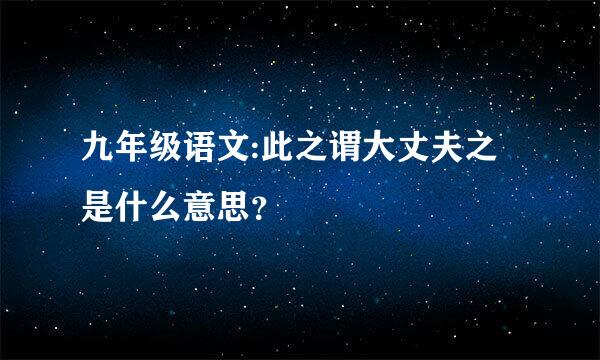 九年级语文:此之谓大丈夫之是什么意思？