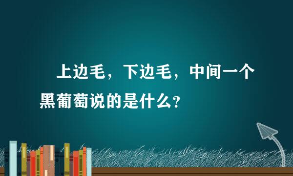  上边毛，下边毛，中间一个黑葡萄说的是什么？