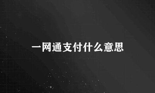 一网通支付什么意思