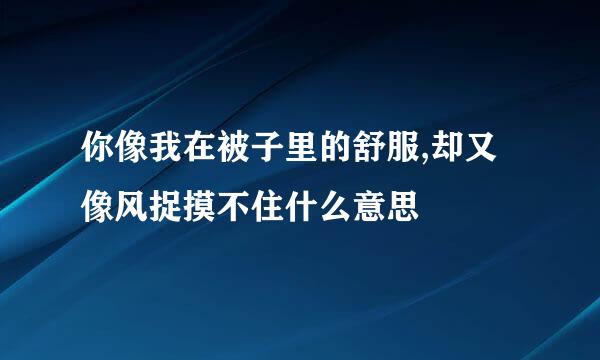 你像我在被子里的舒服,却又像风捉摸不住什么意思