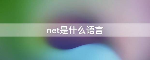 .net是超介料态弱先治什么语言