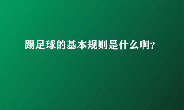 踢足球的基本规则是什么啊？